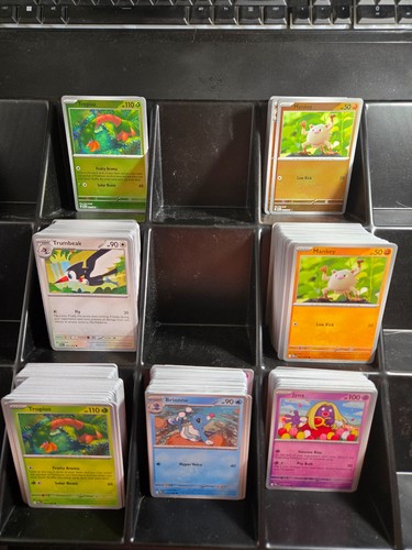 Pokemon pitch black choose - pokemon,